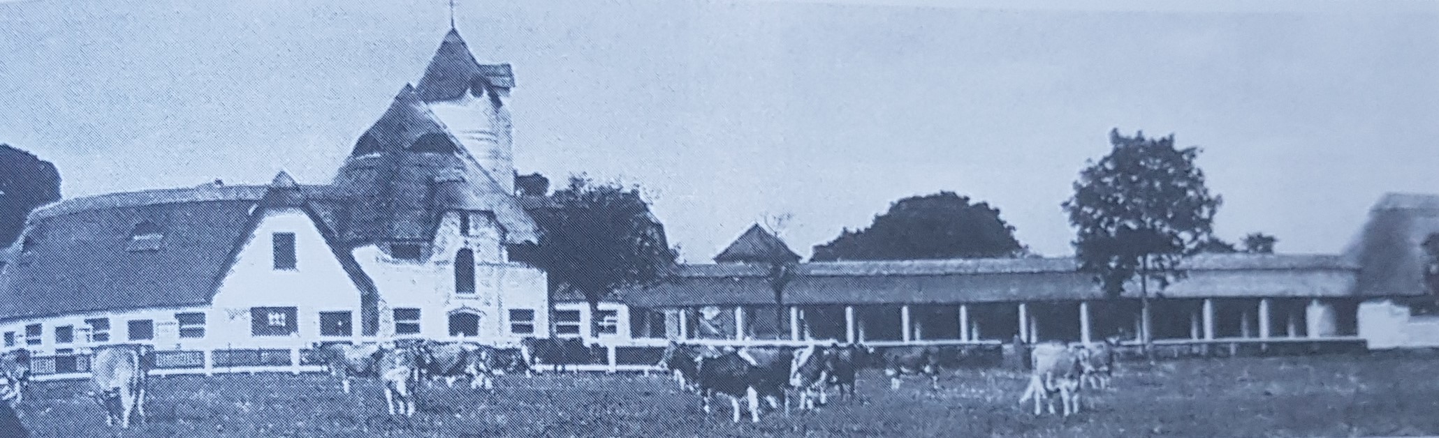 24-_Model_Dairy